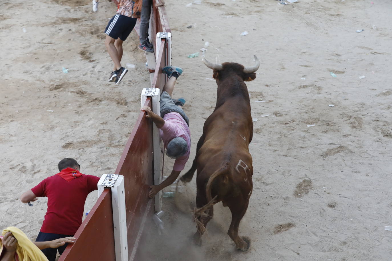 Los dos momentos de tensión vividos en la capea de las fiestas de Peñafiel