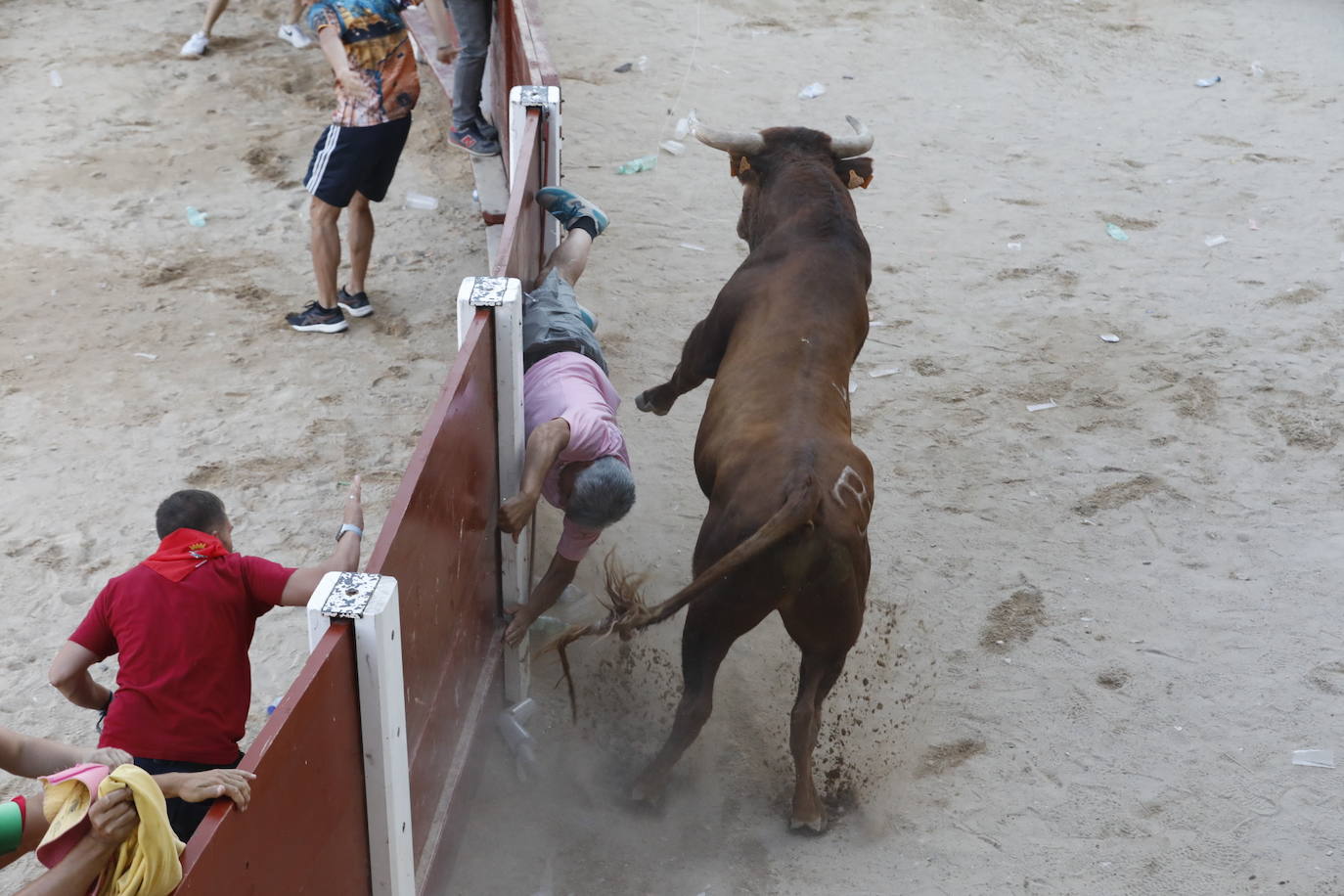 Los dos momentos de tensión vividos en la capea de las fiestas de Peñafiel