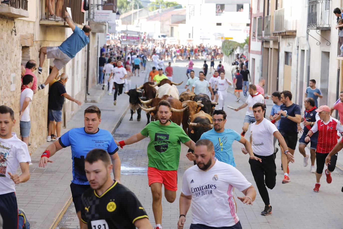 Encierro y capea del jueves en Peñafiel