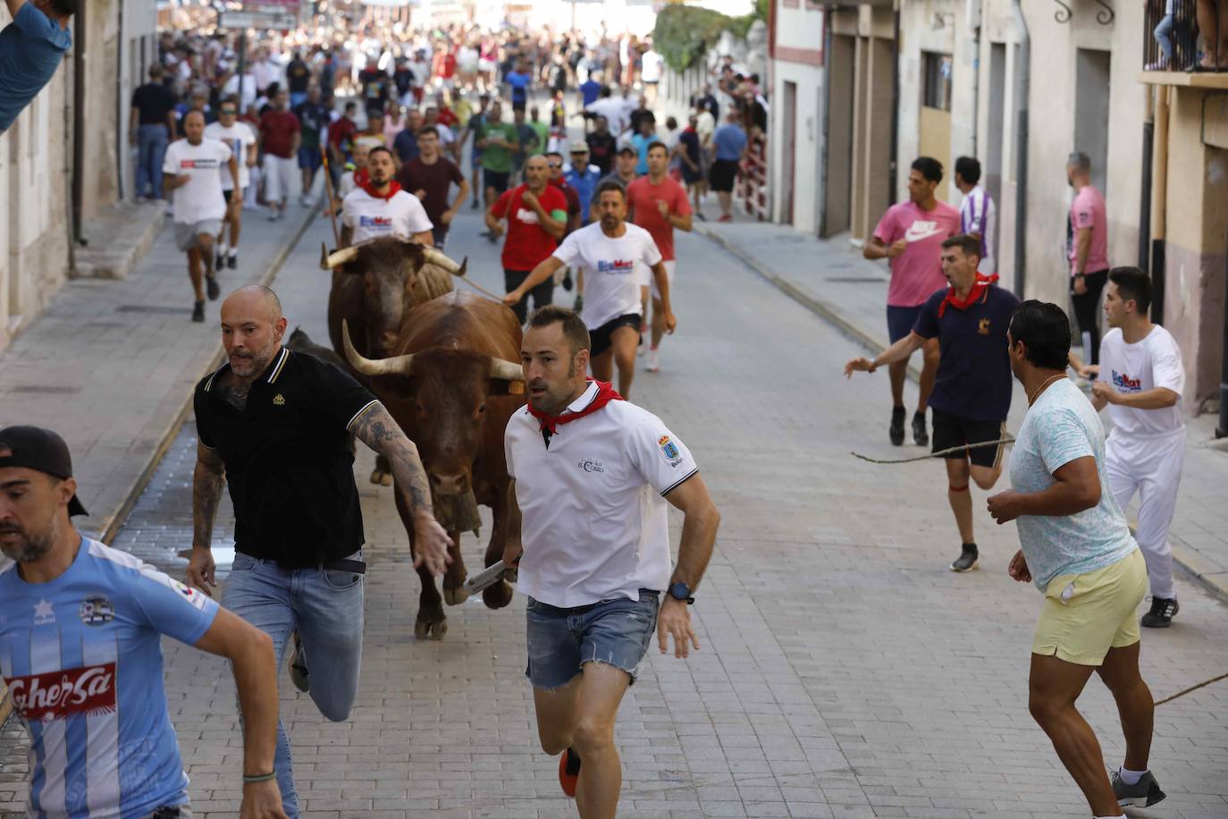 Encierro y capea del jueves en Peñafiel