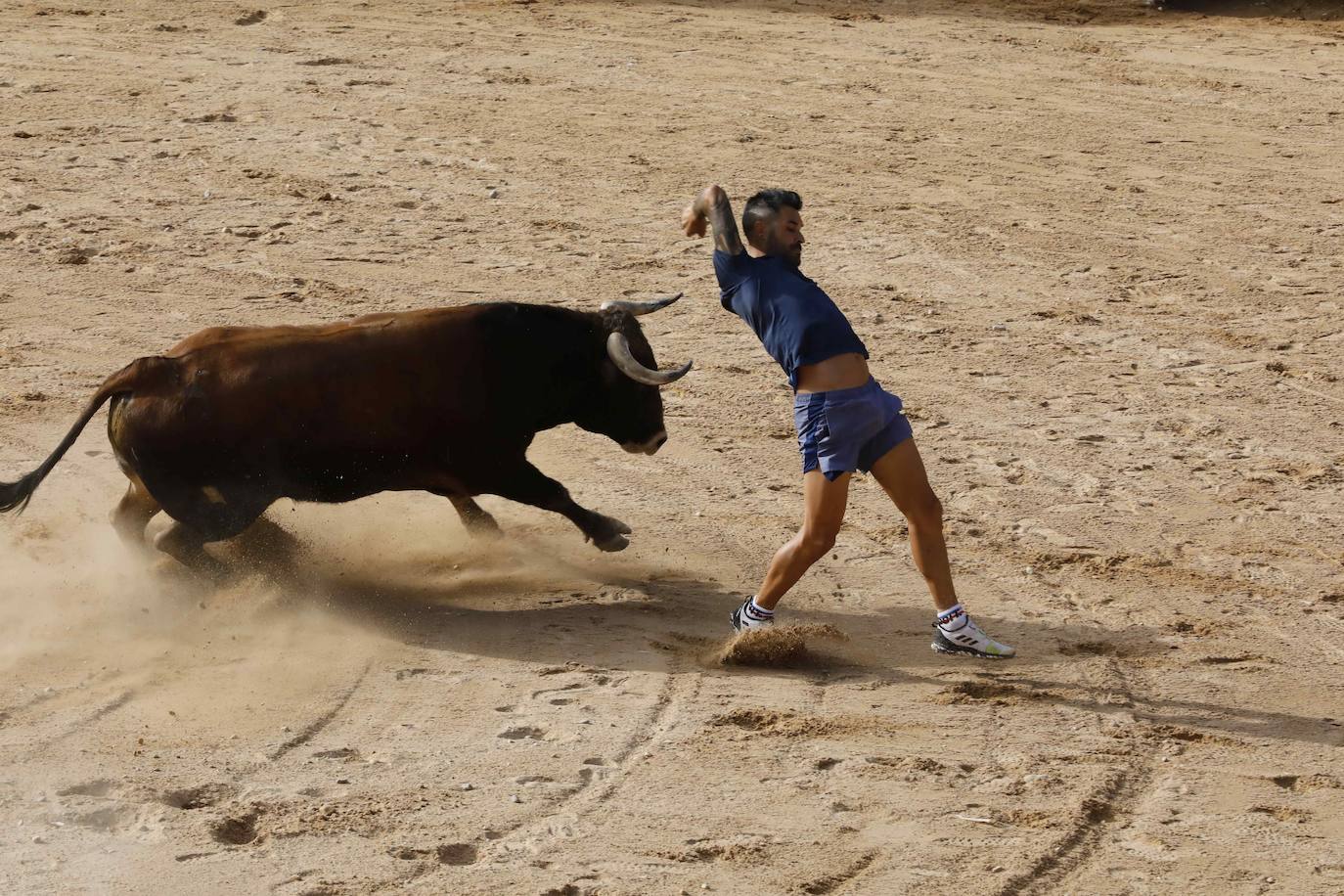 Encierro y capea del jueves en Peñafiel