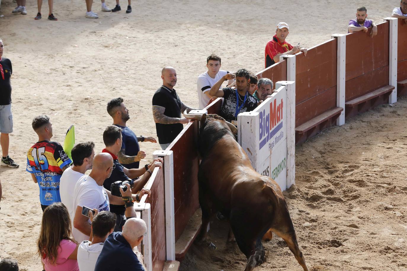 Encierro y capea del jueves en Peñafiel