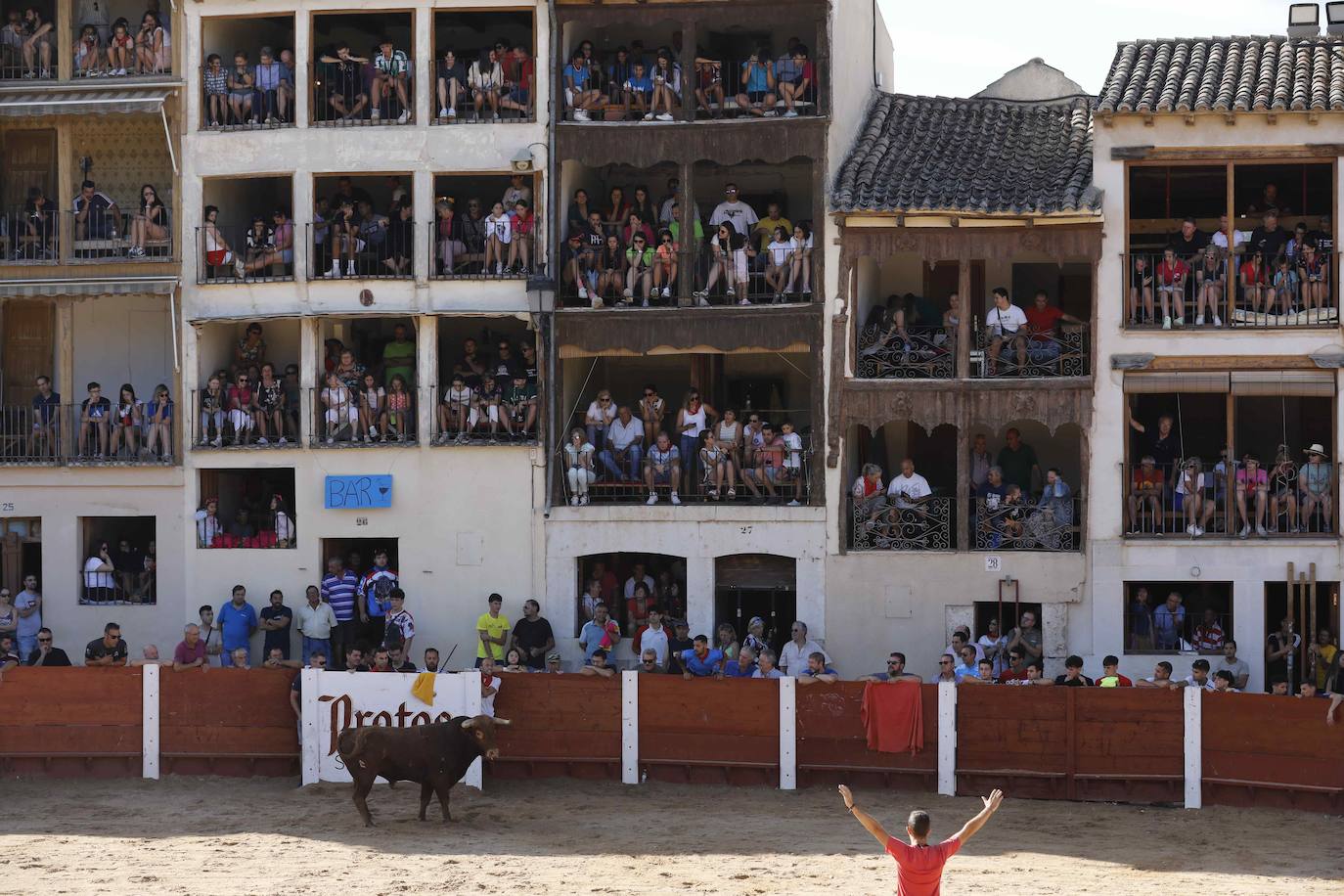 Encierro y capea del jueves en Peñafiel