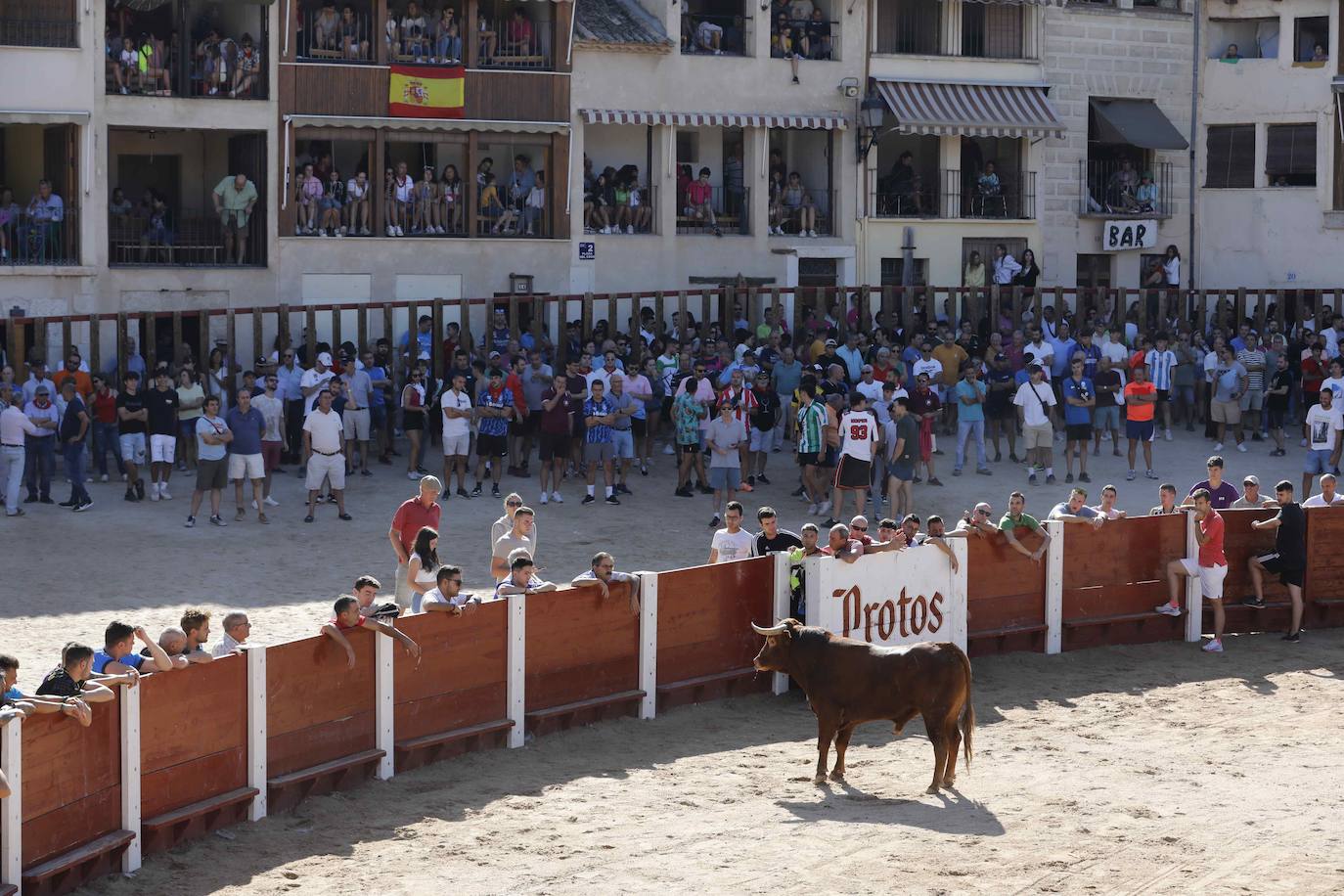 Encierro y capea del jueves en Peñafiel