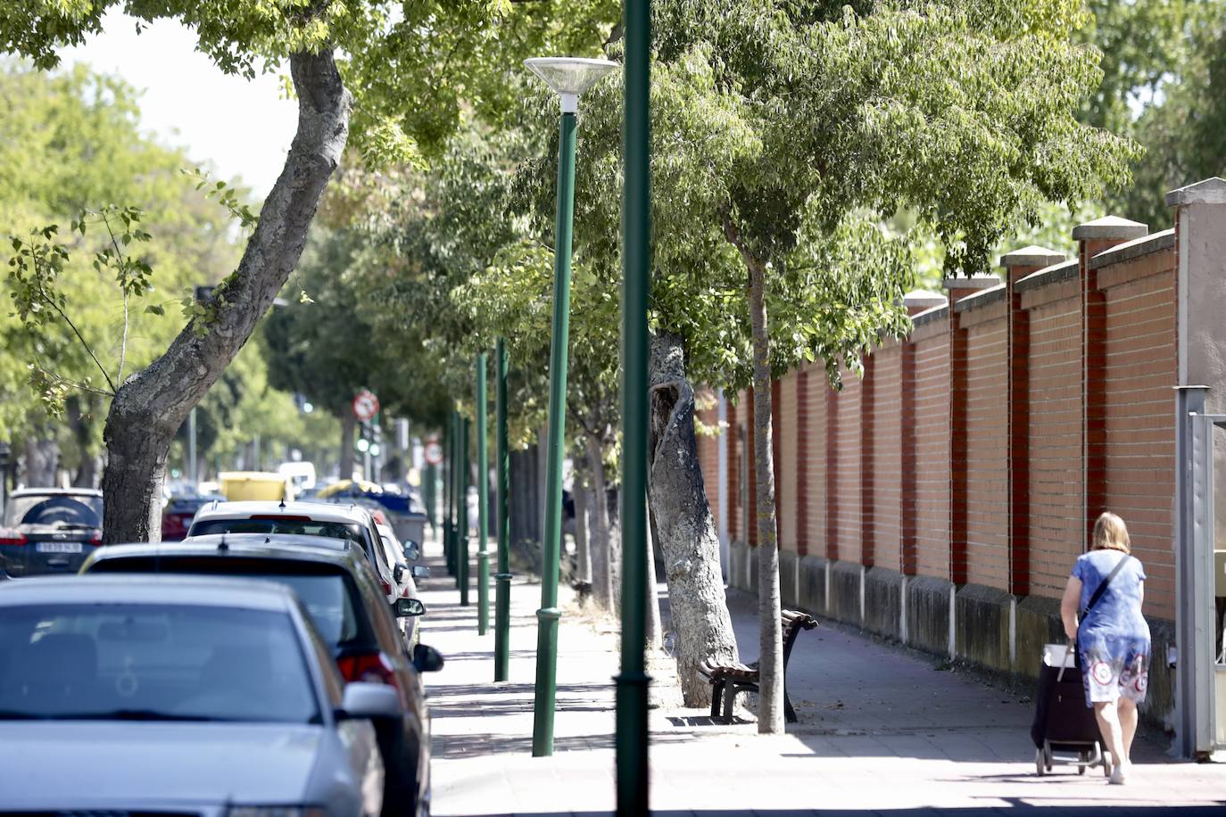 El Camino del Cementerio, en imágenes