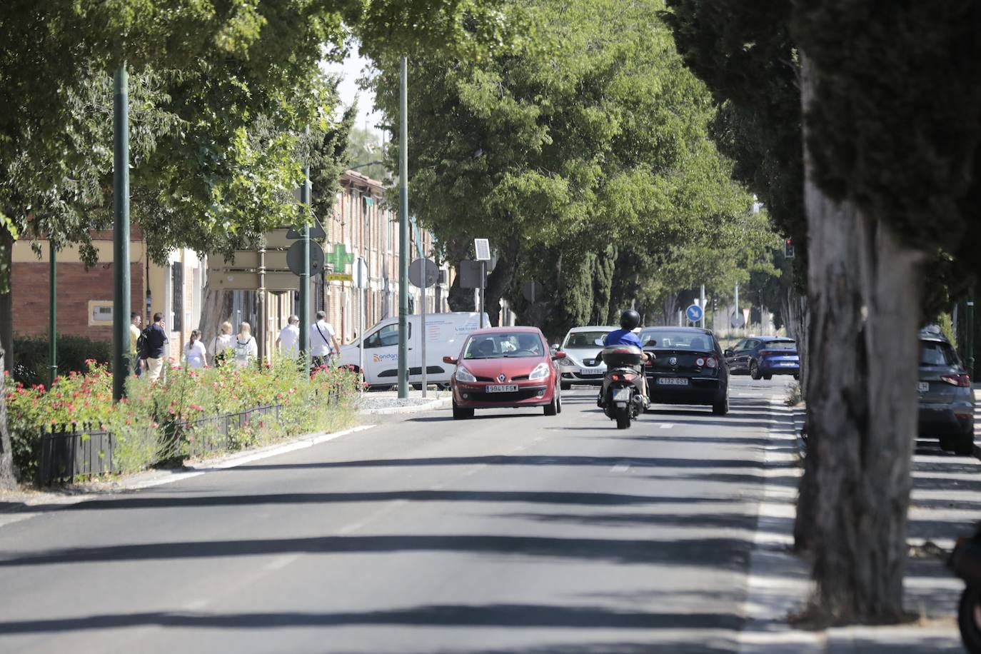 El Camino del Cementerio, en imágenes