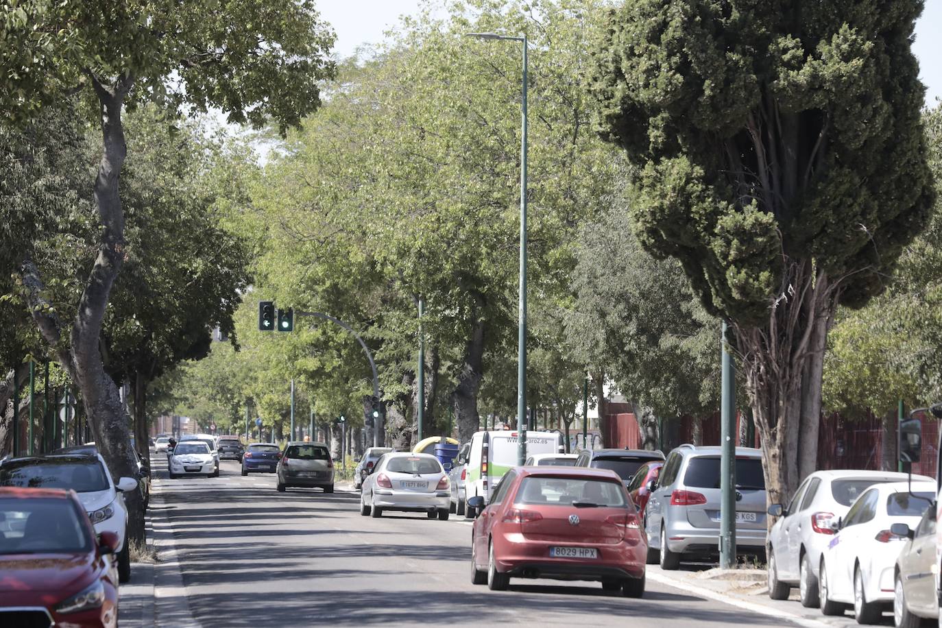 El Camino del Cementerio, en imágenes