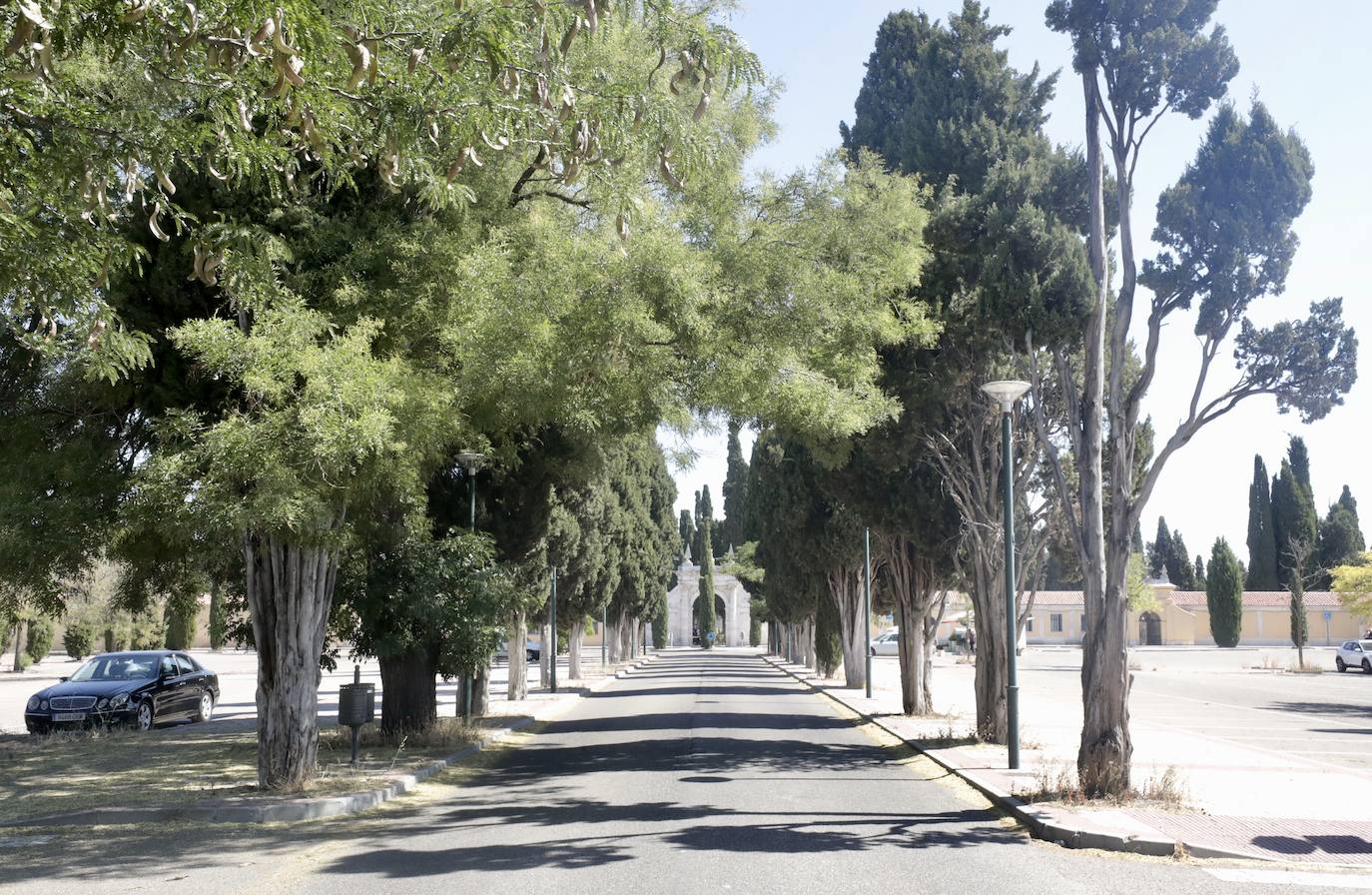 El Camino del Cementerio, en imágenes