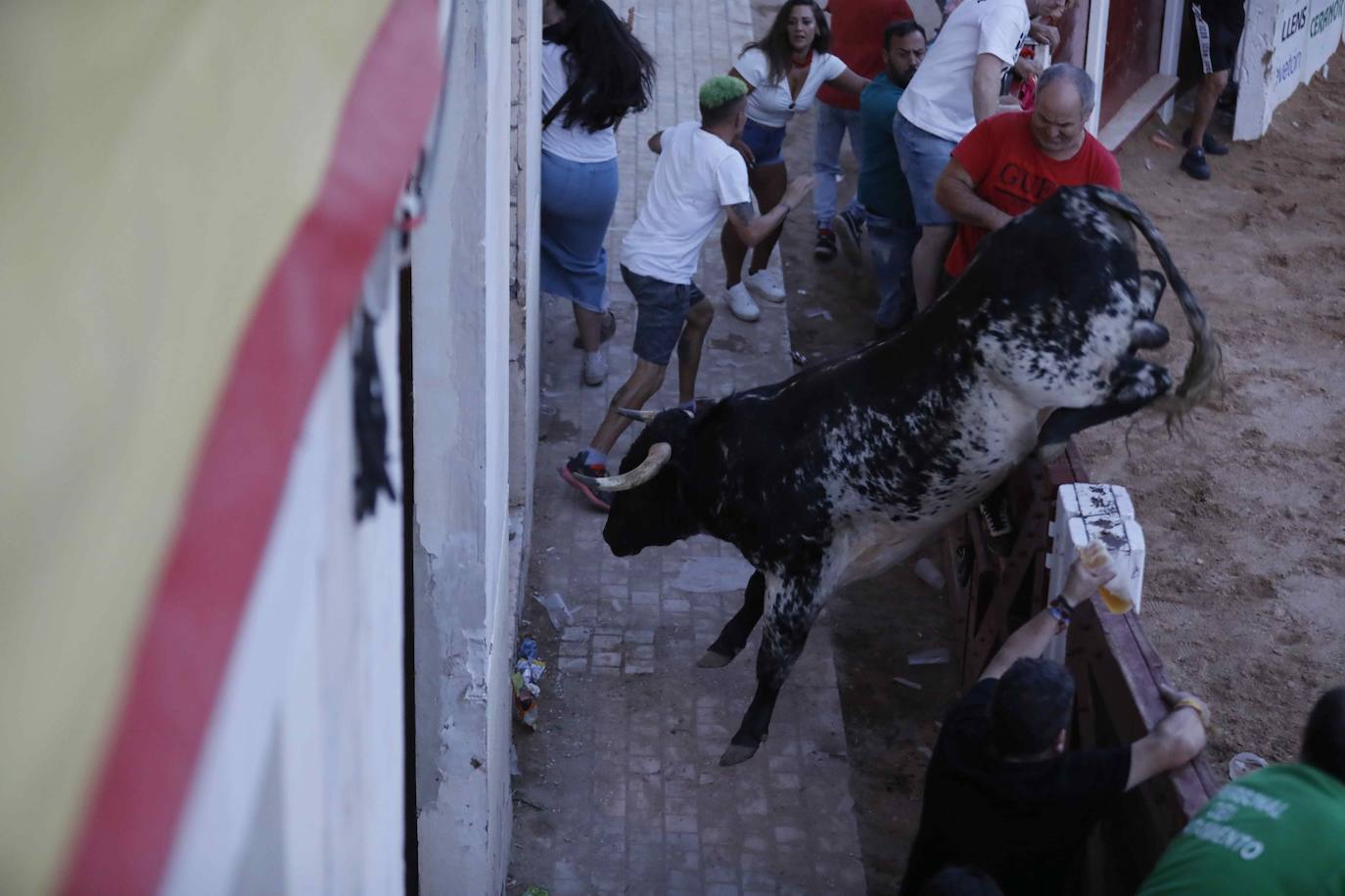 La capea de este jueves en Peñafiel, en imágenes