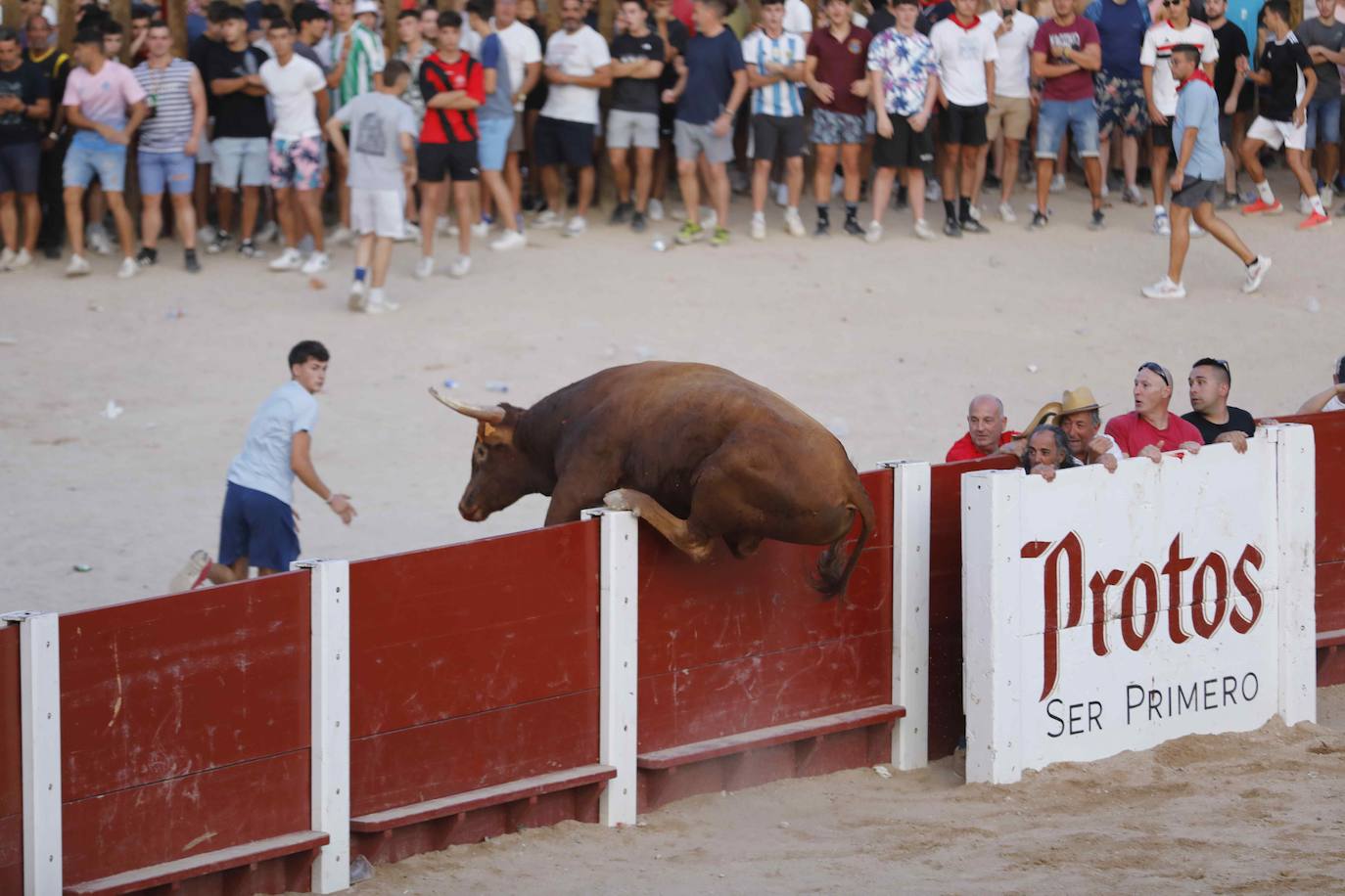 La capea de este jueves en Peñafiel, en imágenes