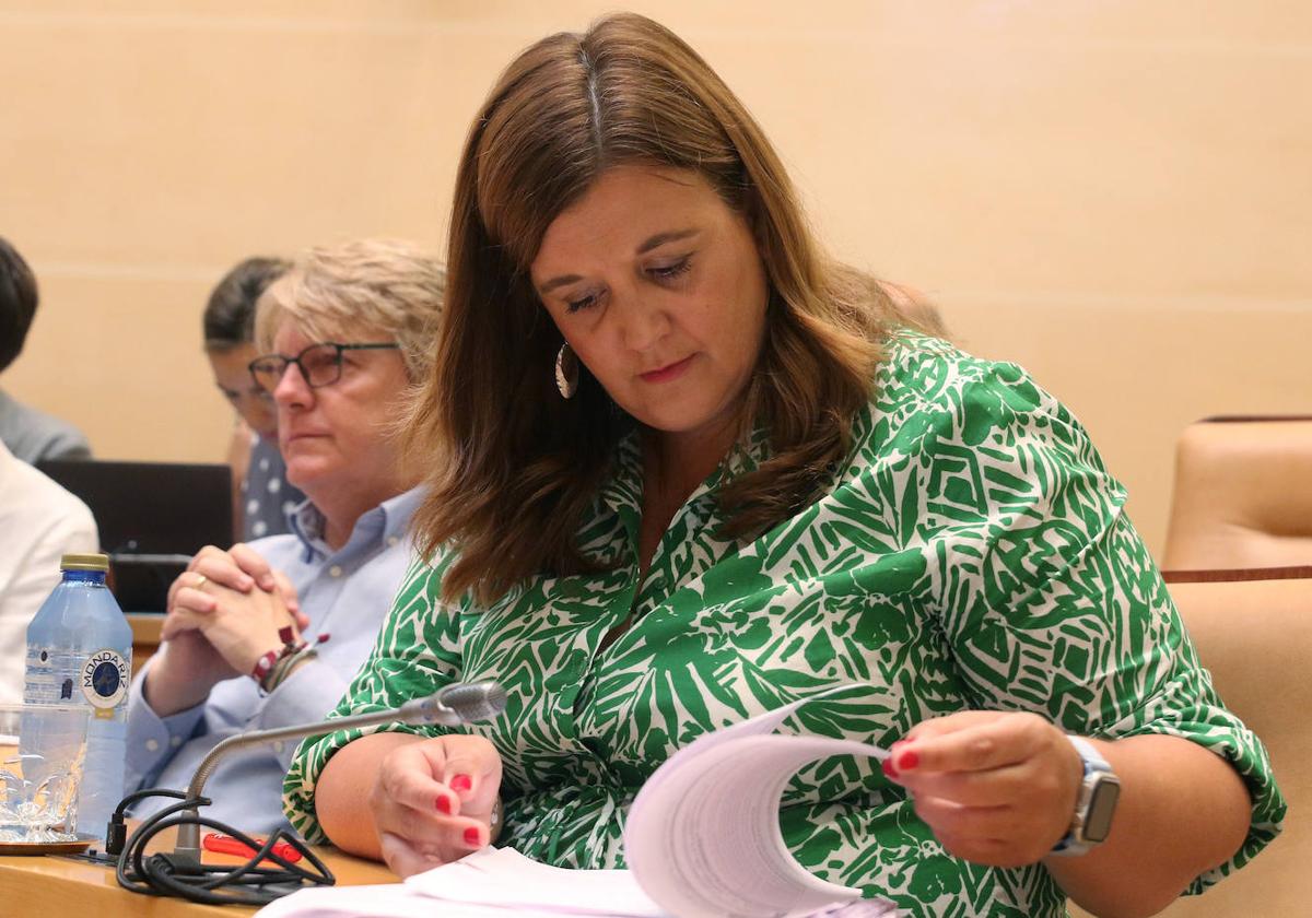 Clara Martín, portavoz del PSOE municipal en el Ayuntamiento de Segovia.