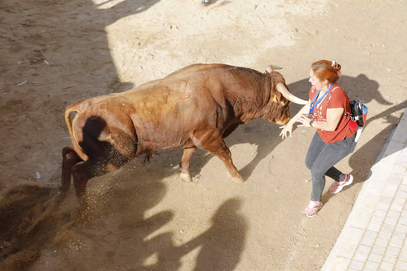 En imágenes, el encierro y el susto en la capea de Peñafiel