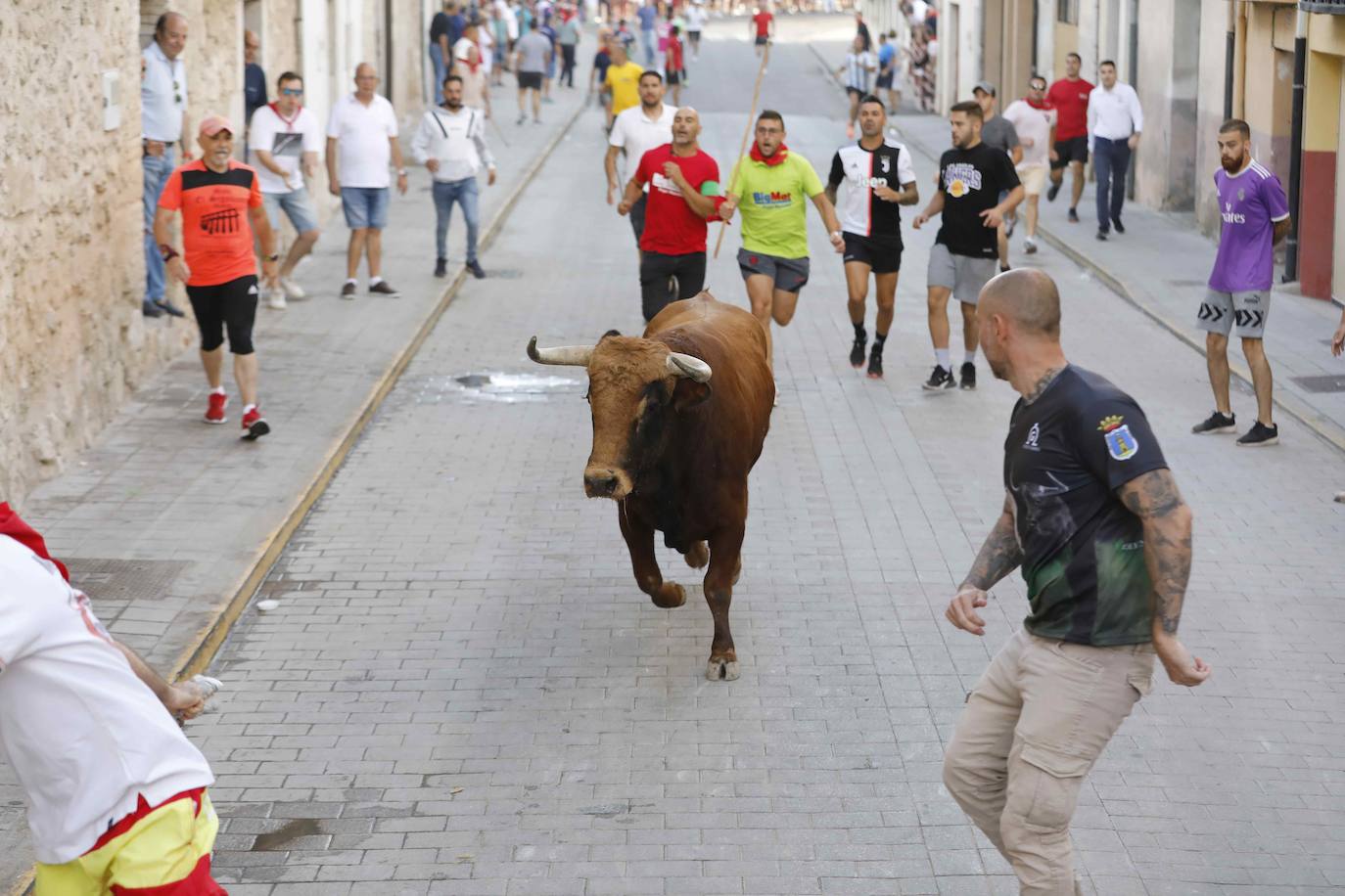 En imágenes, el encierro y el susto en la capea de Peñafiel