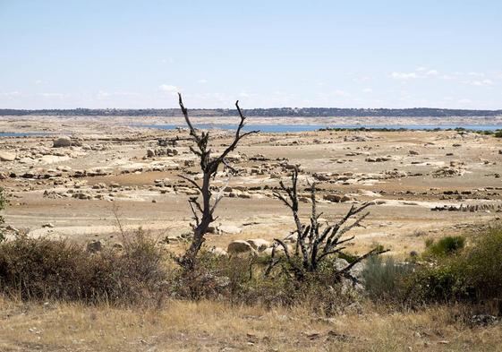 Pantano de Almendra (Zamora) resentido por la sequía.