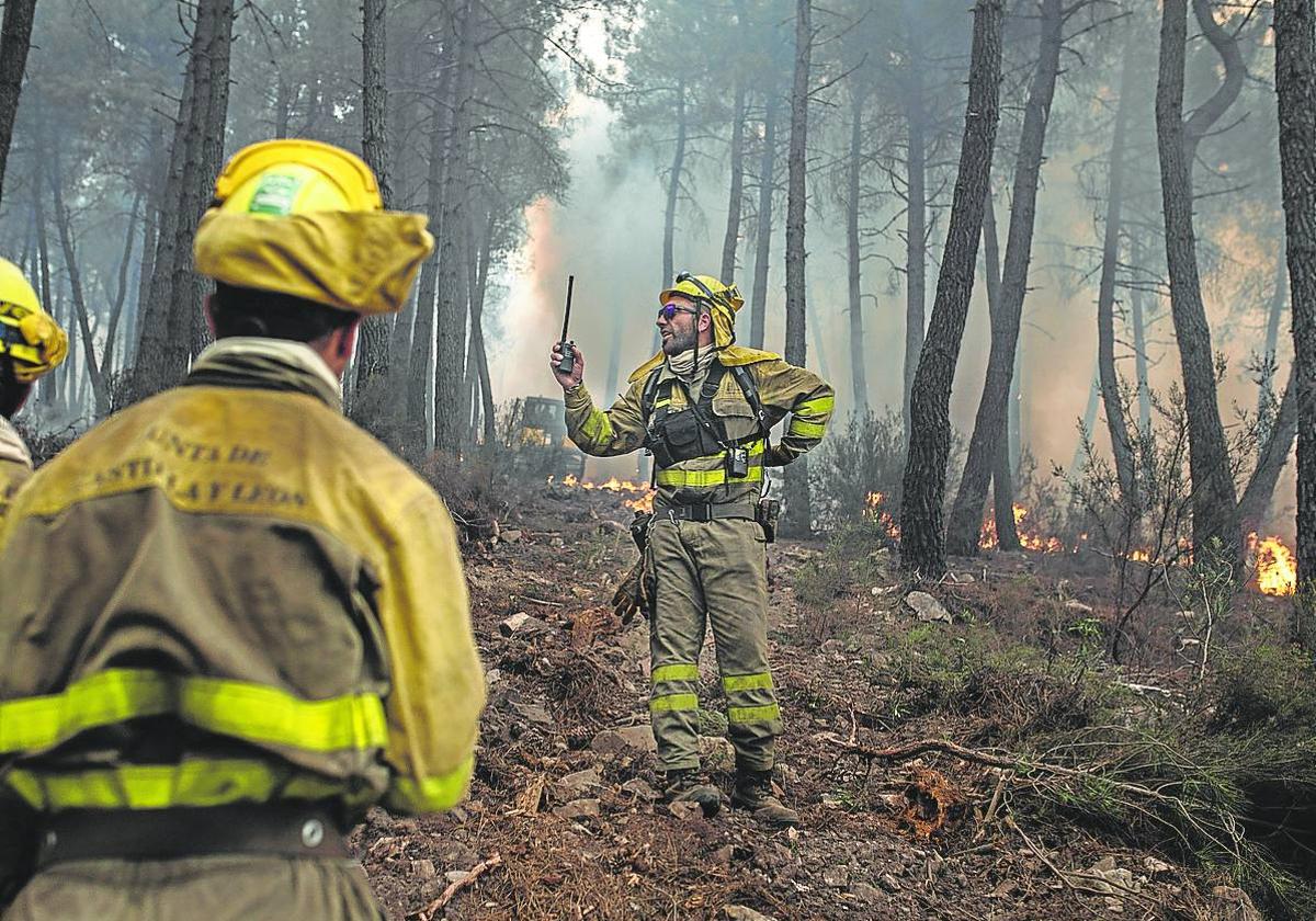 Bomberos trabajan en la extinción del incendio en la Sierra Culebra, hace un año en Zamora