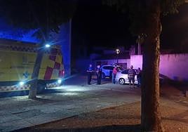 Una joven resulta herida en un atropello en Dueñas