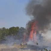 Radiografía de los incendios forestales en 2023: 796 fuegos, la gran mayoría conatos