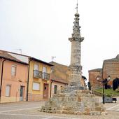 Temor en Aguilar de Campos por el tercer ataque de dos mastines