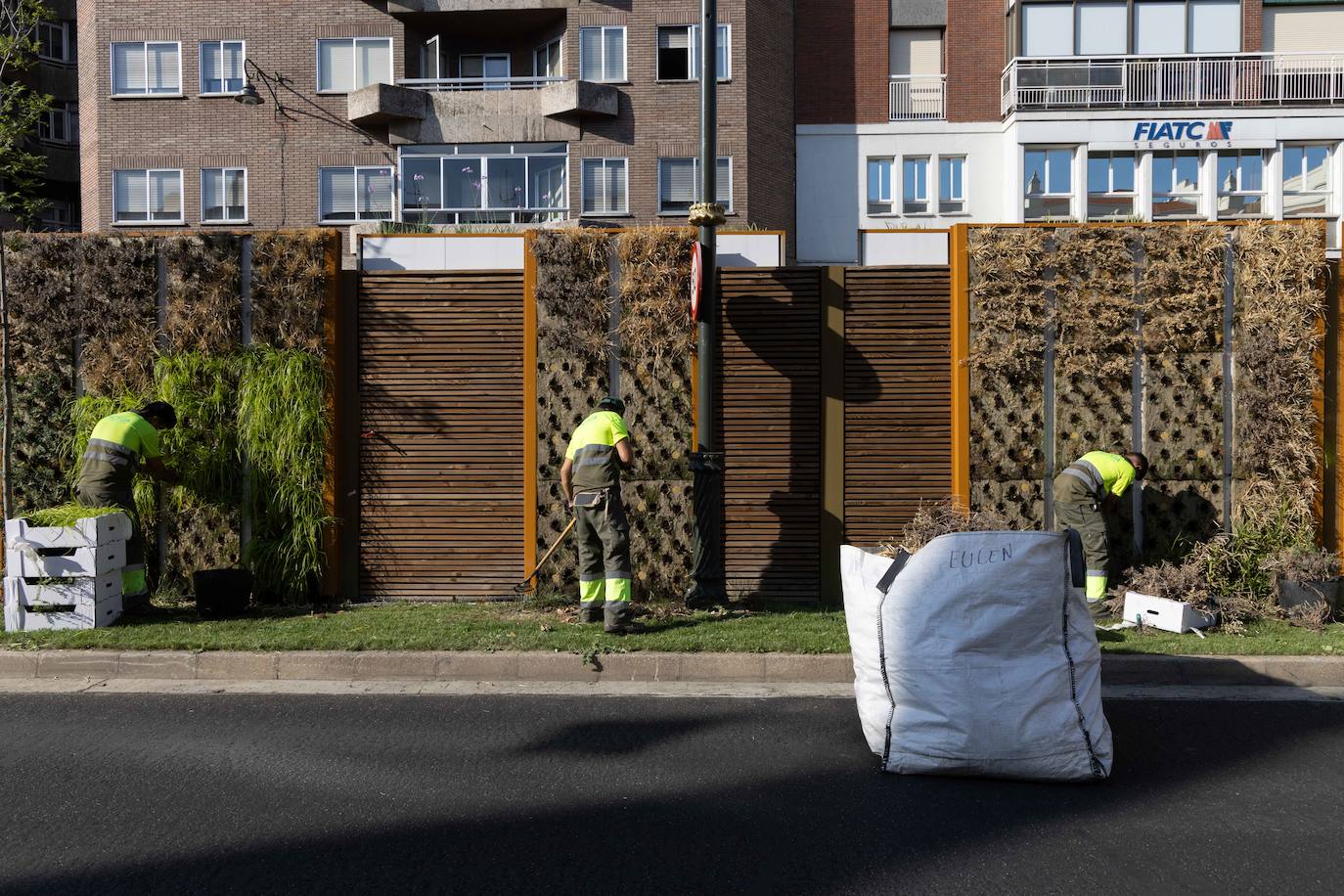 Reposición de las plantas secas en las medianas de Hospital Militar