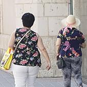 Una temperatura de 38 grados, histórica en un mes de agosto en Palencia