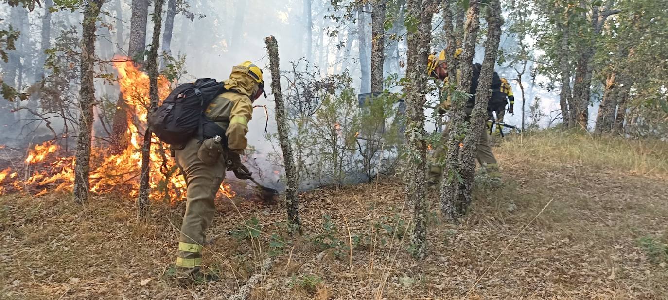 El incendio de nivel 2 en San Bartolomé de Rueda, en imágenes