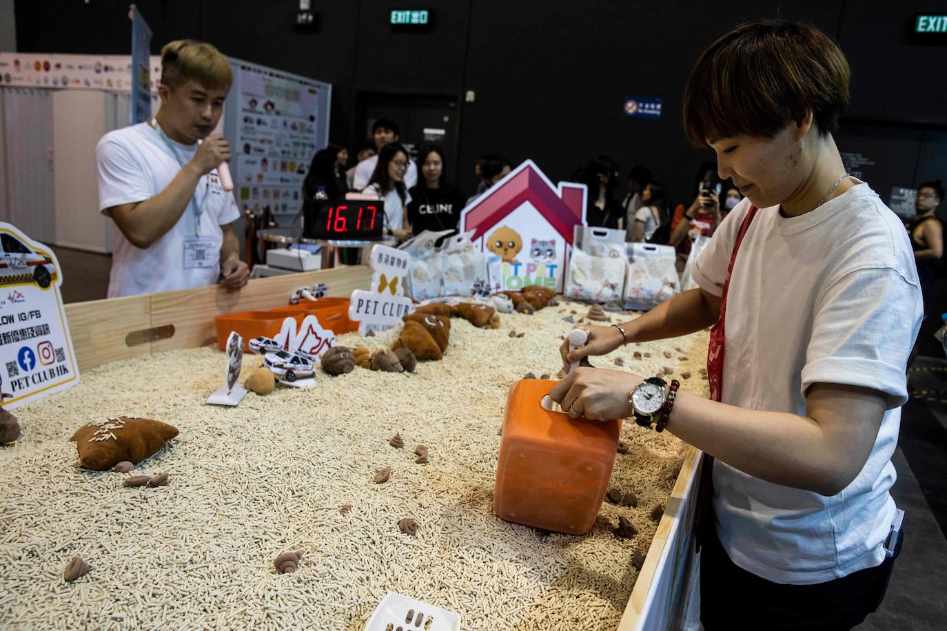 Los gatos, protagonistas de una exposición en Hong Kong