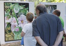 Una galería de arte en la Huerta de Guadián