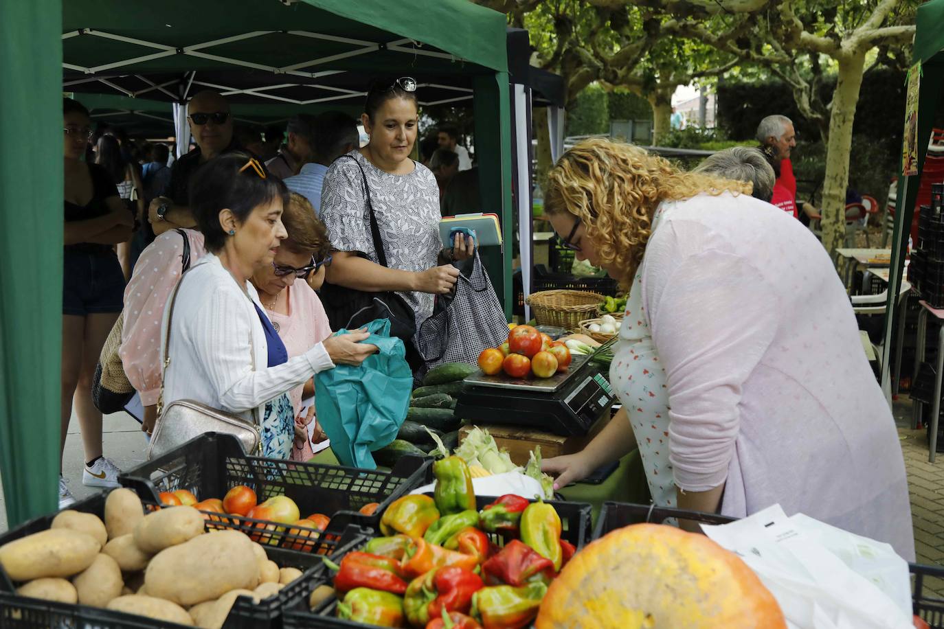 La Feria del Tomate de Tudela, en imágenes