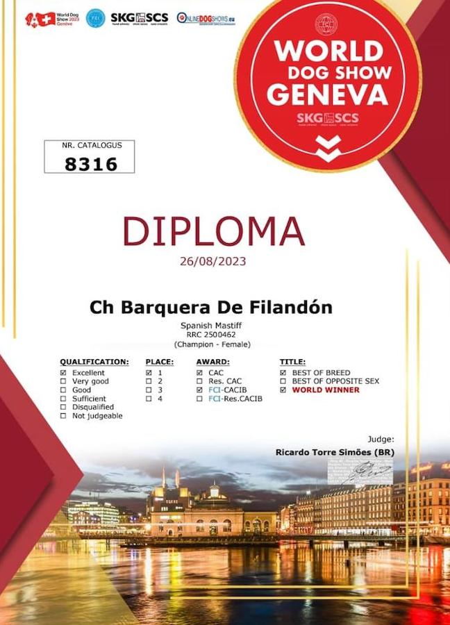 Diploma que acredita a Barquera de Filandón como el mejor mastín español del mundo.