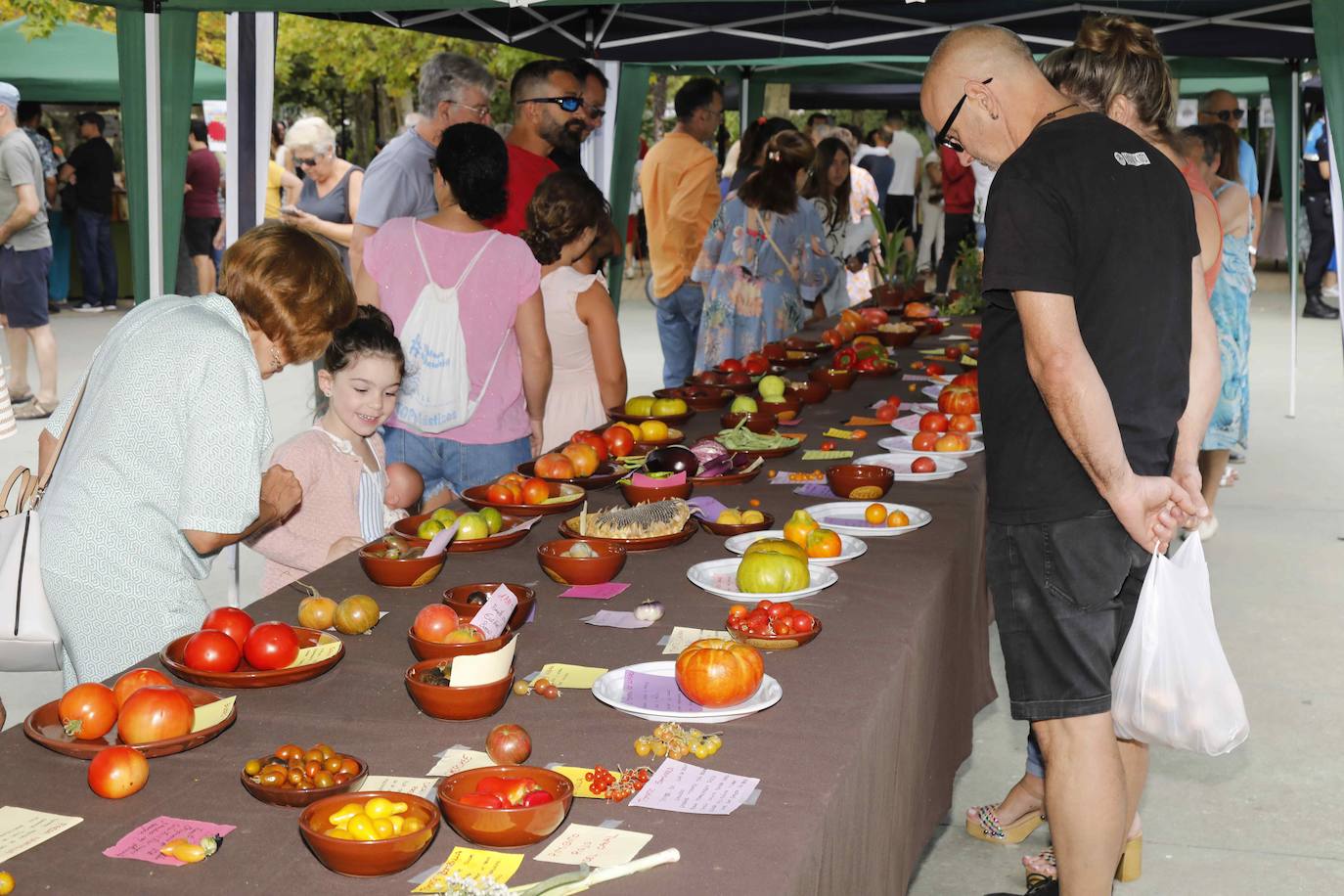 La Feria del Tomate de Tudela, en imágenes