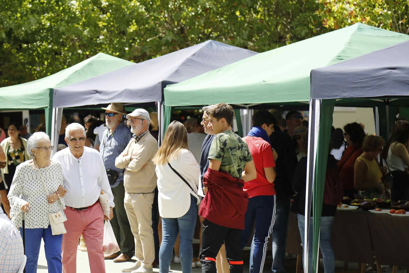 La Feria del Tomate de Tudela, en imágenes