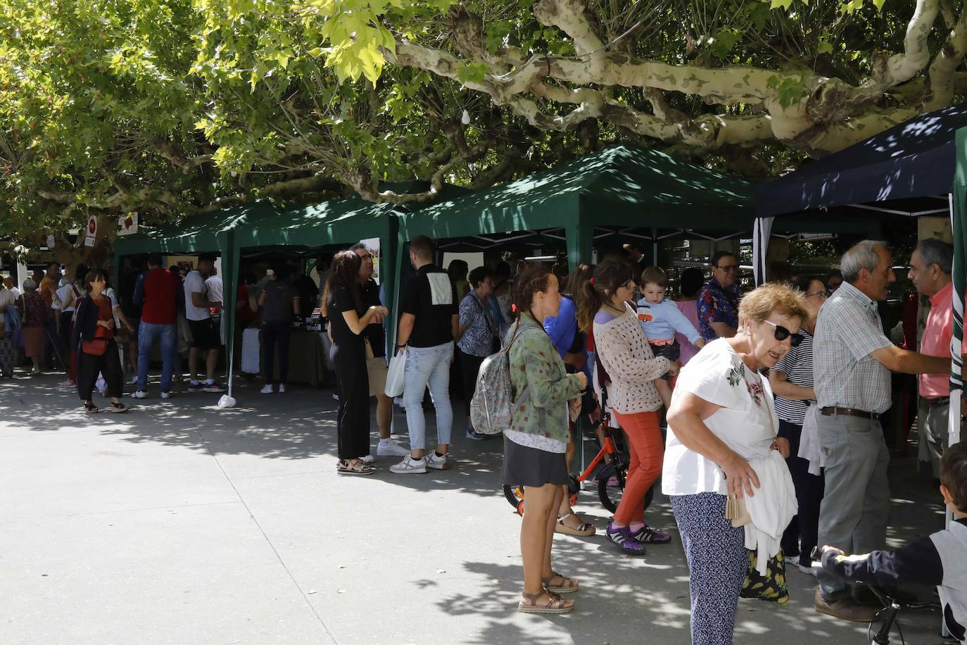 La Feria del Tomate de Tudela, en imágenes