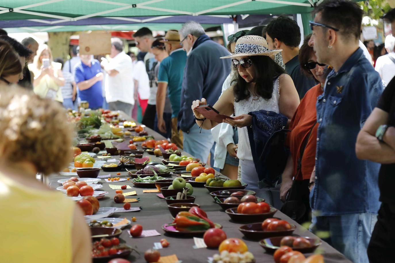 La Feria del Tomate de Tudela, en imágenes