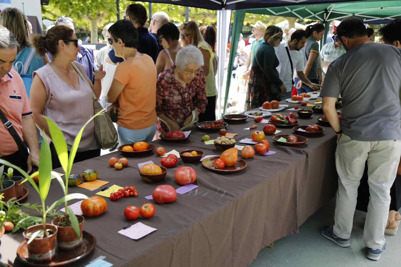 La Feria del Tomate de Tudela, en imágenes