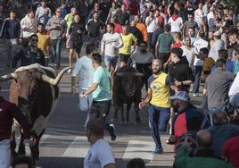 Primer encierro de las fiestas de Cuéllar de 2023