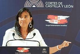 Ana Sánchez, vicepresidenta segunda de las Cortes y secretaria de Organización del PSOE de Castilla y León.