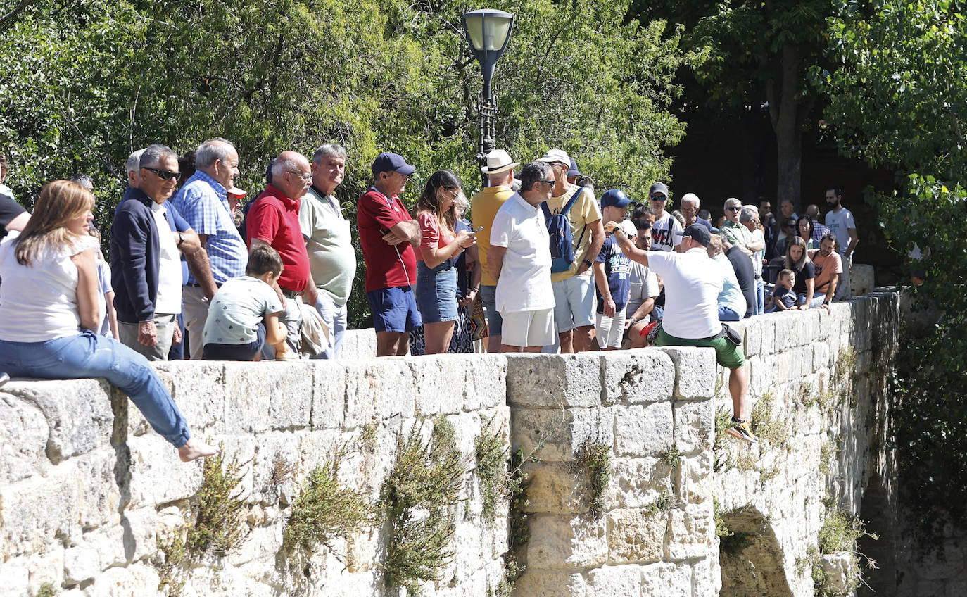 El ascenso y descenso del Carrión en piragua, en imágenes