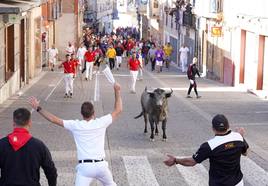 Segundo encierro de las fiestas de Cuéllar
