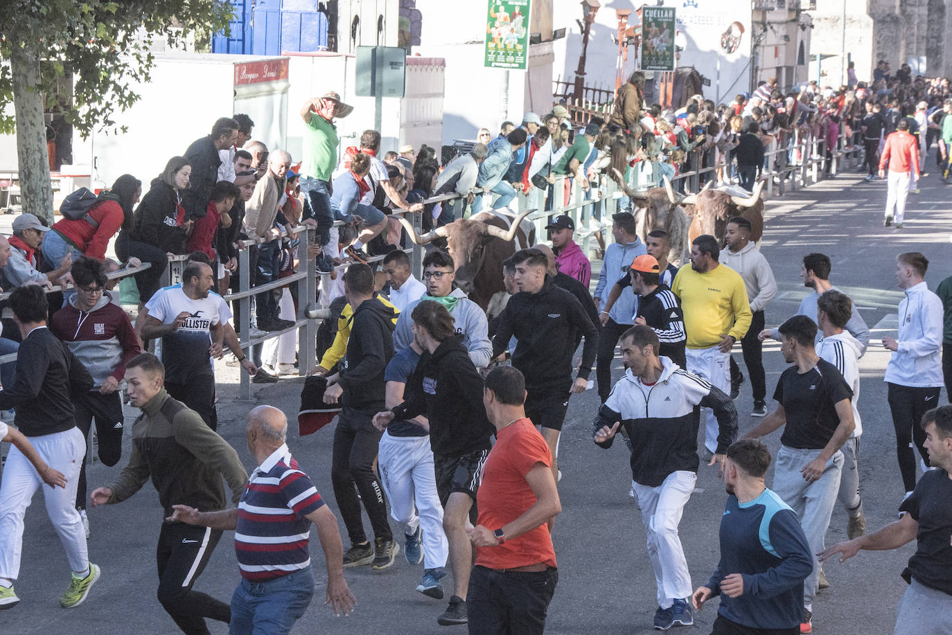 El segundo encierro de las fiestas de Cuéllar, en imágenes (2/2)