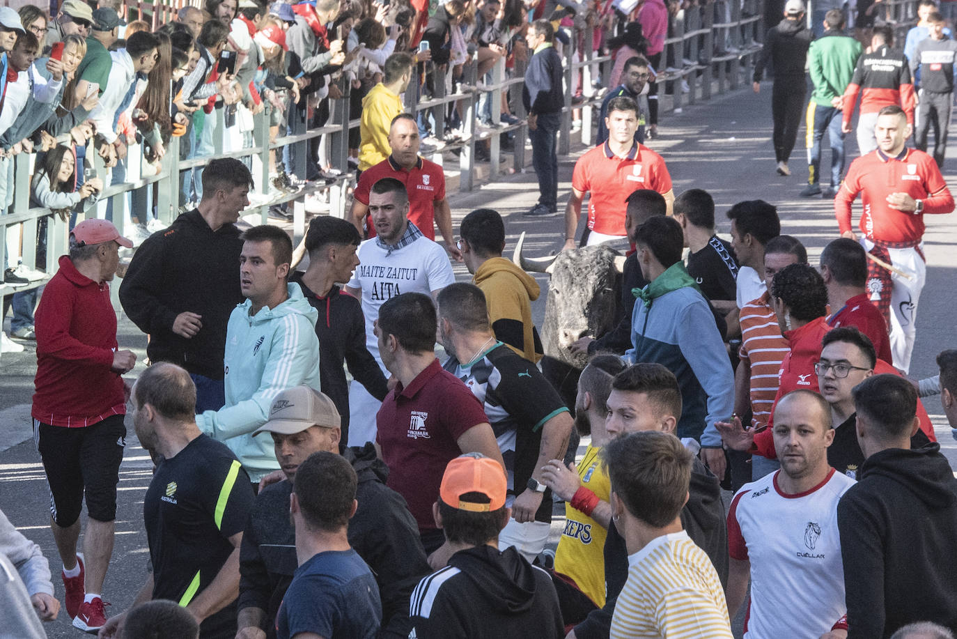 El segundo encierro de las fiestas de Cuéllar, en imágenes (2/2)