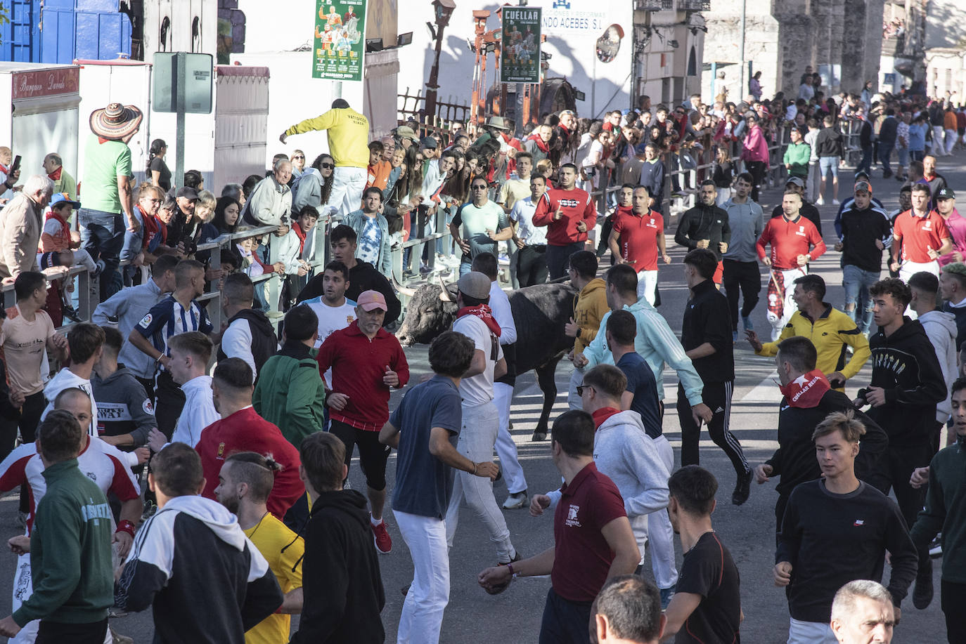 El segundo encierro de las fiestas de Cuéllar, en imágenes (2/2)