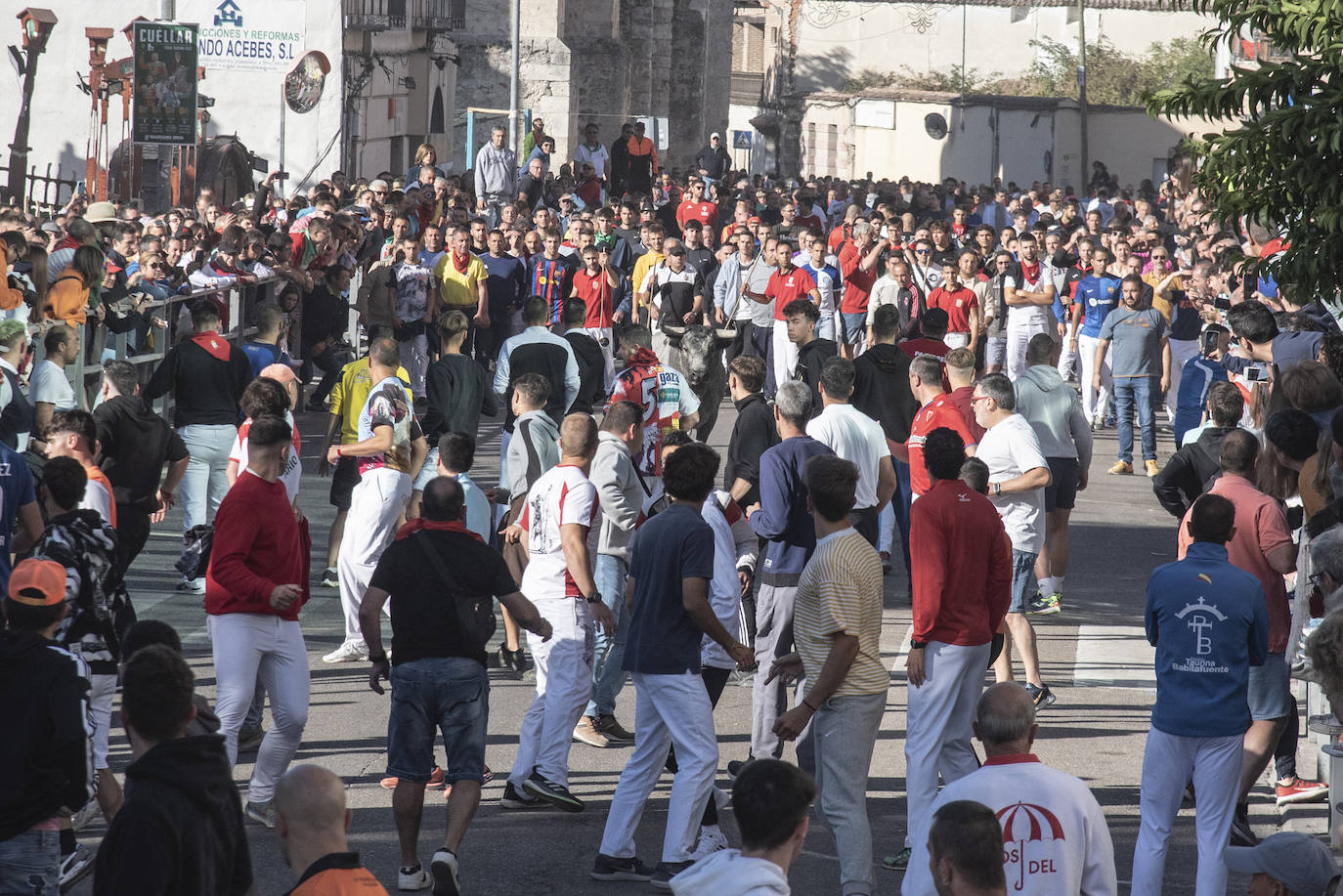 El segundo encierro de las fiestas de Cuéllar, en imágenes (2/2)