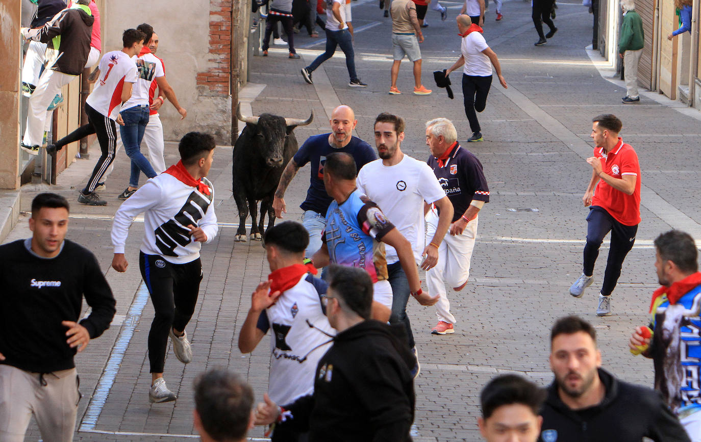 El tercer encierro de Cuéllar, en imágenes (2 de 2)