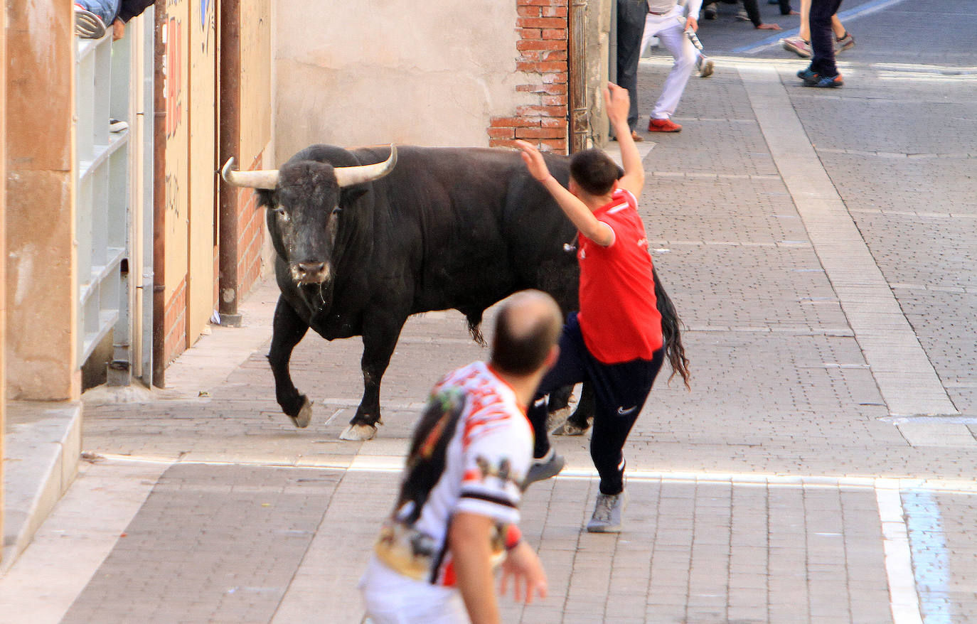 El tercer encierro de Cuéllar, en imágenes (2 de 2)