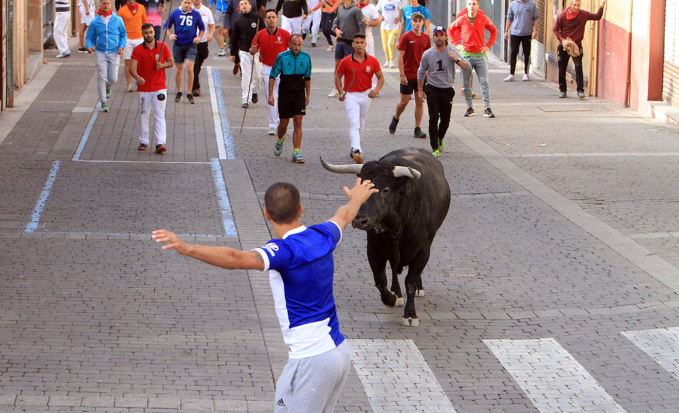 El tercer encierro de Cuéllar, en imágenes (2 de 2)