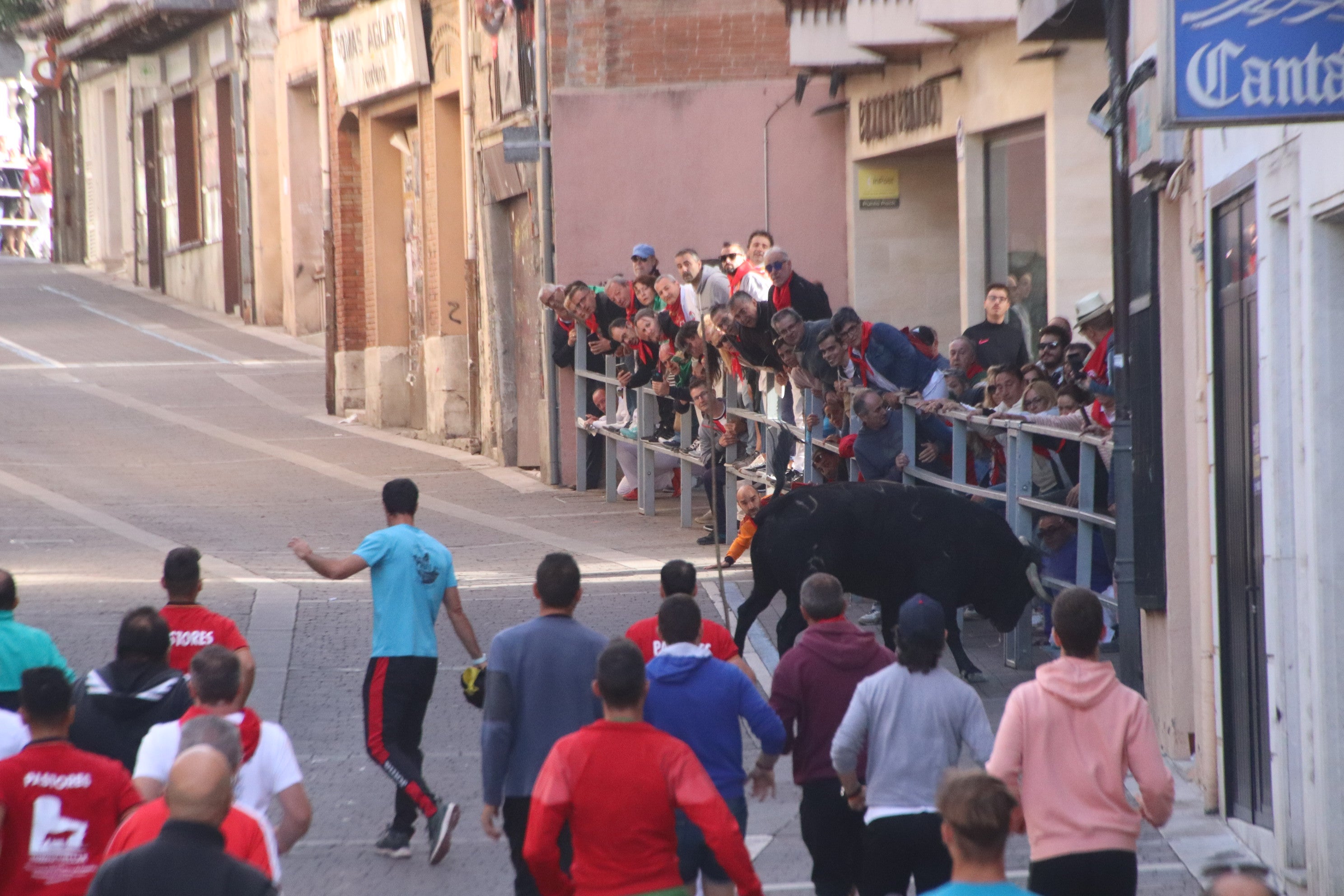 Encierro de Cuéllar por las calles de la villa.