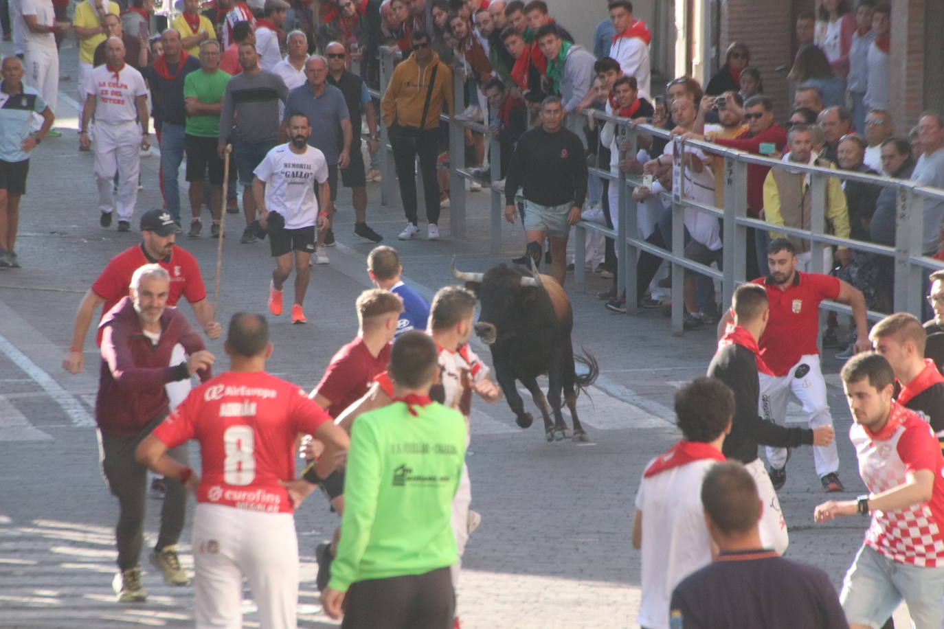 El cuarto encierro de Cuéllar, en imágenes (1 de 2)