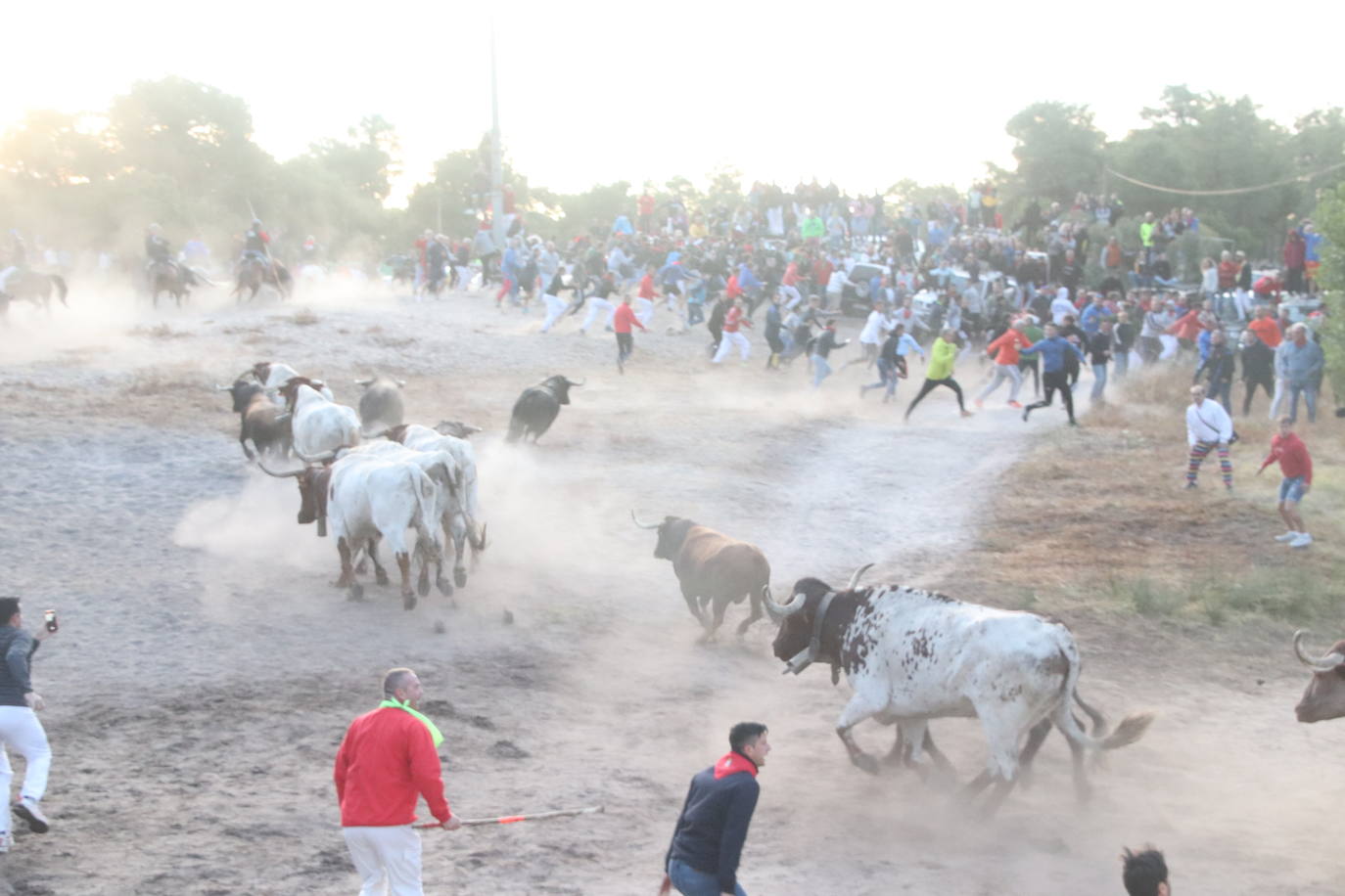 El cuarto encierro de Cuéllar, en imágenes (1 de 2)