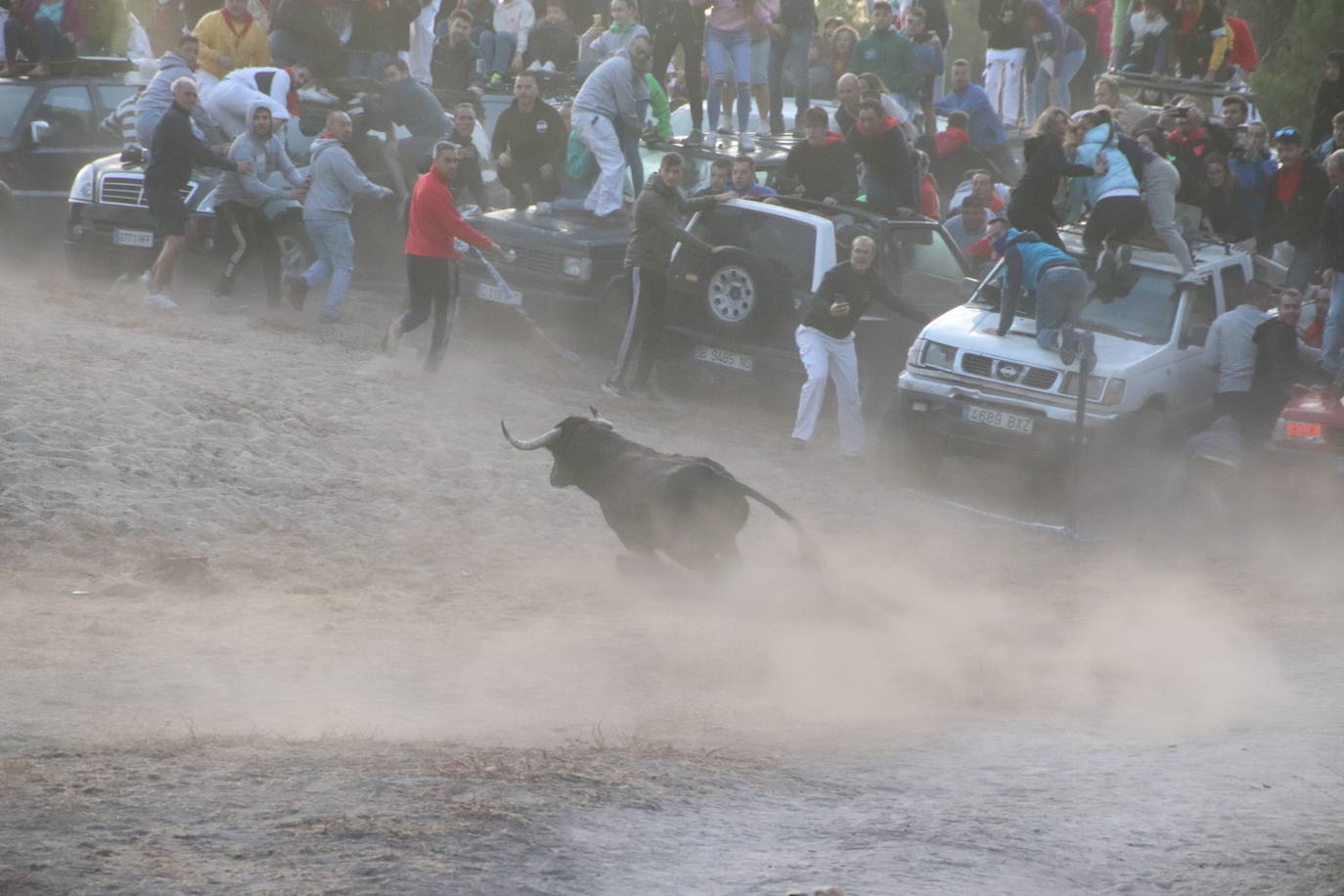 El cuarto encierro de Cuéllar, en imágenes (1 de 2)