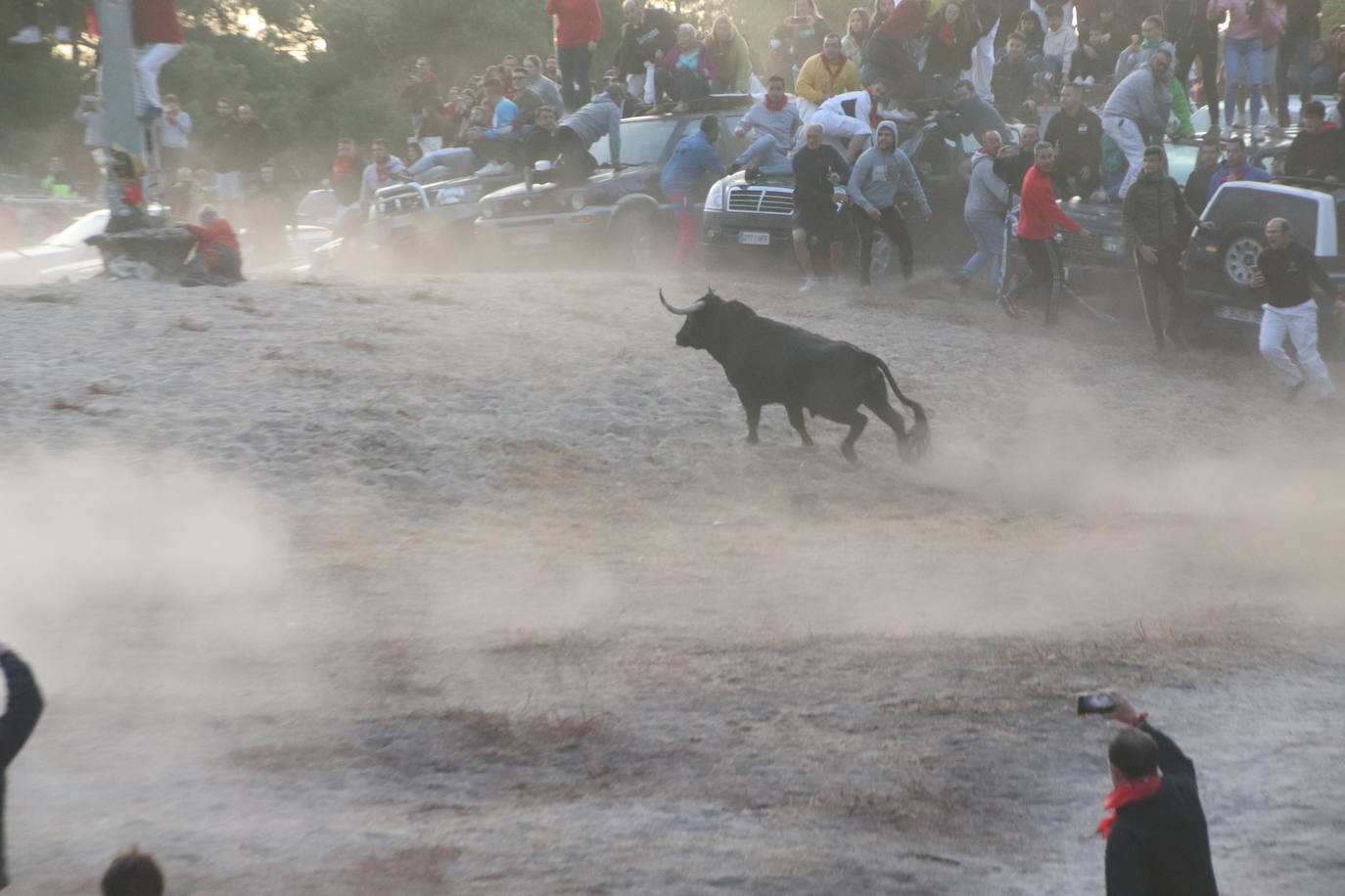 El cuarto encierro de Cuéllar, en imágenes (1 de 2)